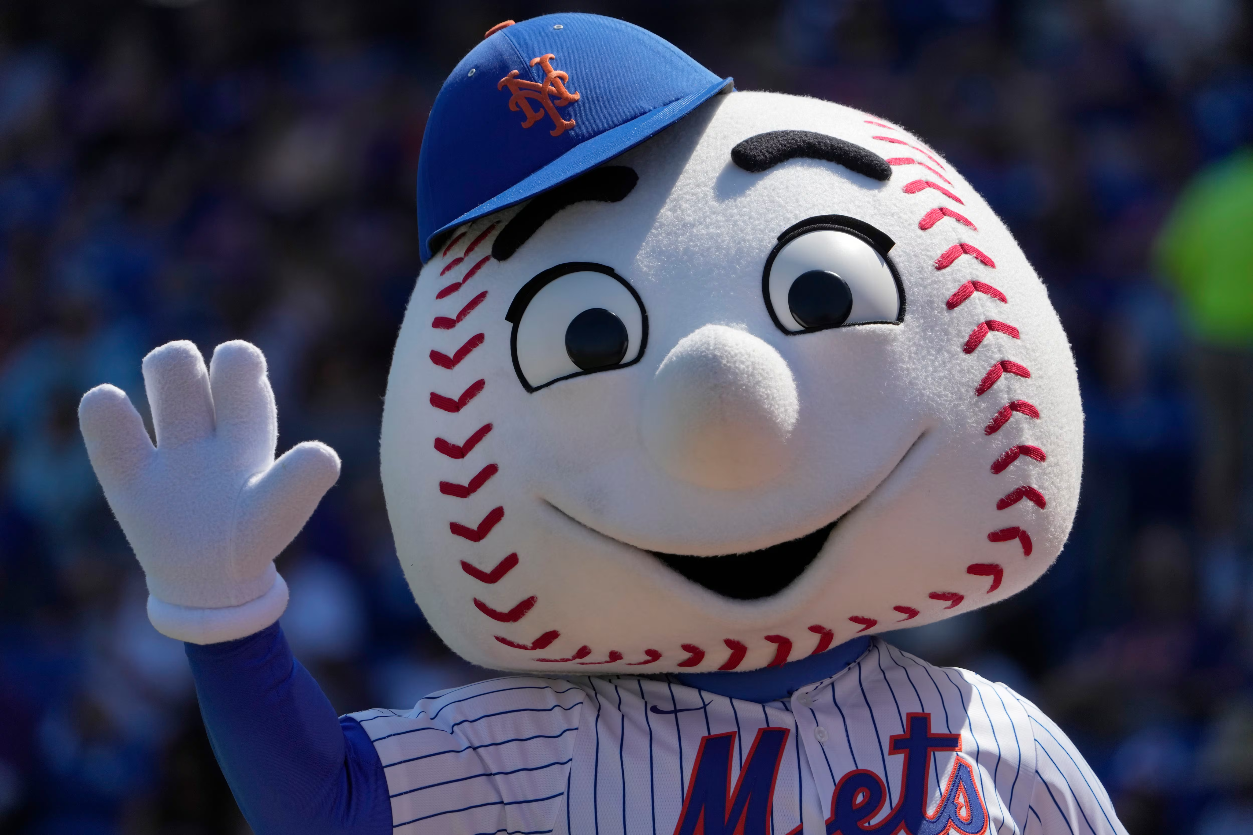 Mr. Met